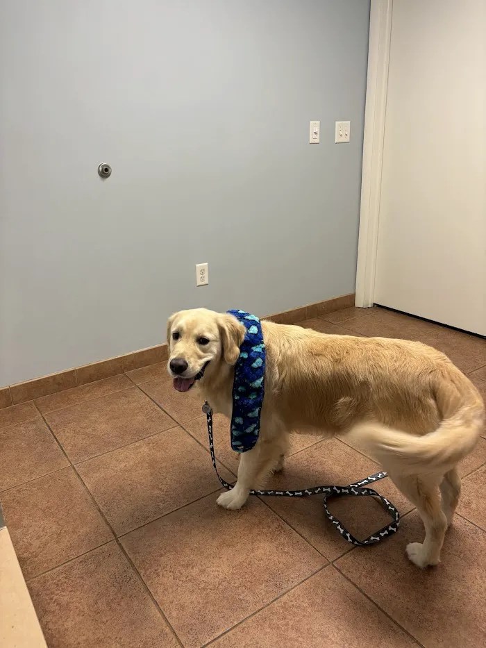 Furry Friends Veterinary Center 12