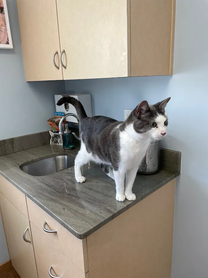 Furry Friends Veterinary Center 12