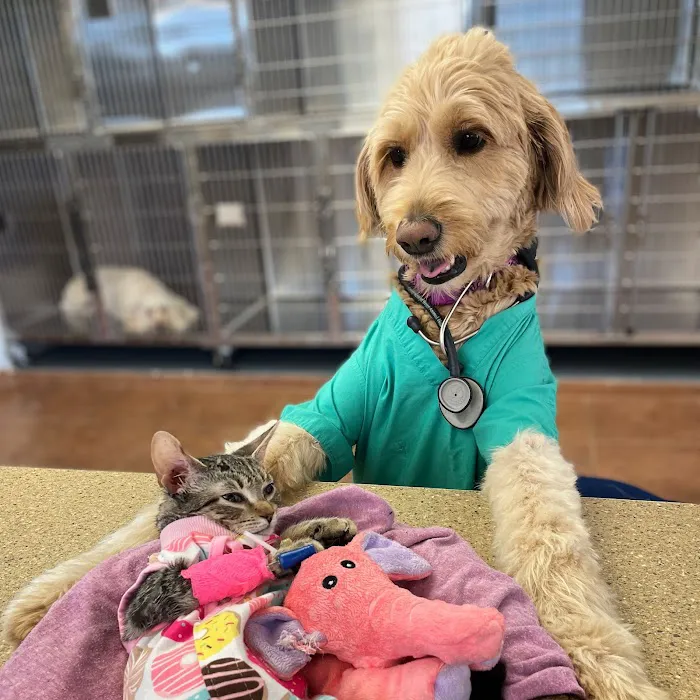 Furry Friends Veterinary Center 12