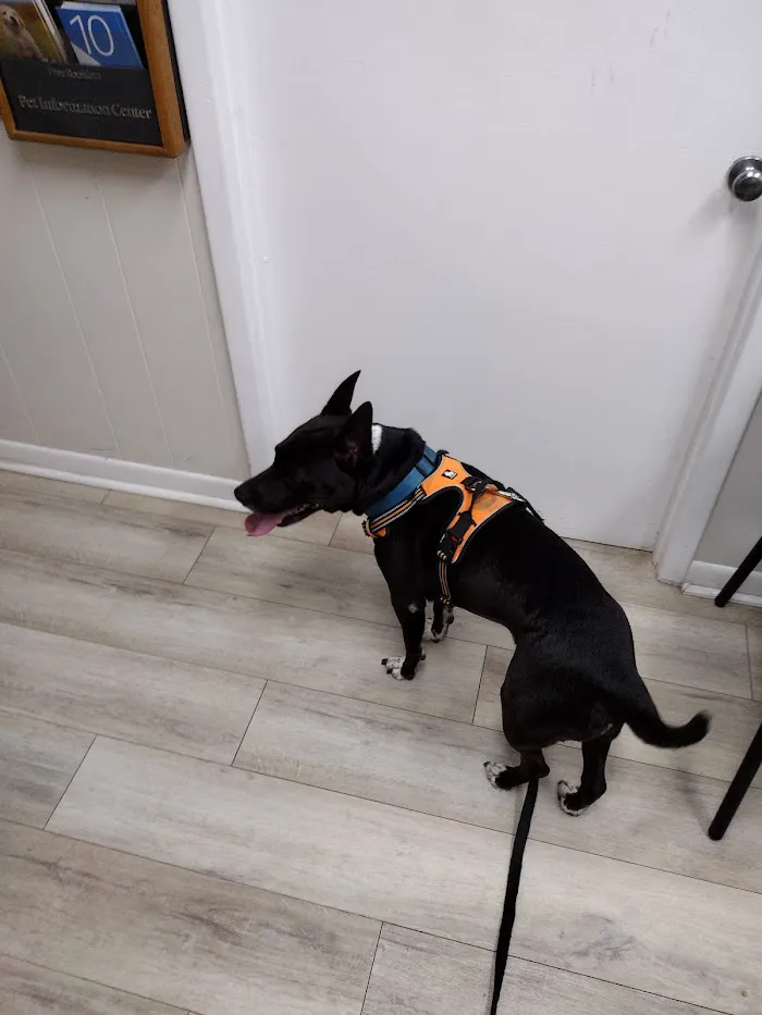 Veterinary Medical Hospital Of Clearwater 12