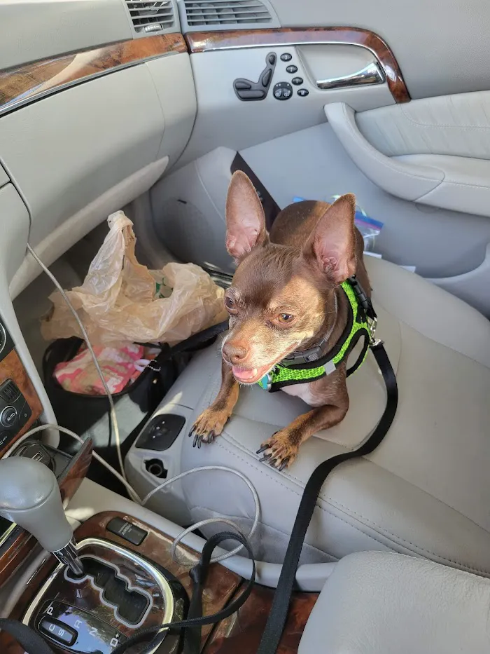 Veterinary Medical Hospital Of Clearwater 12