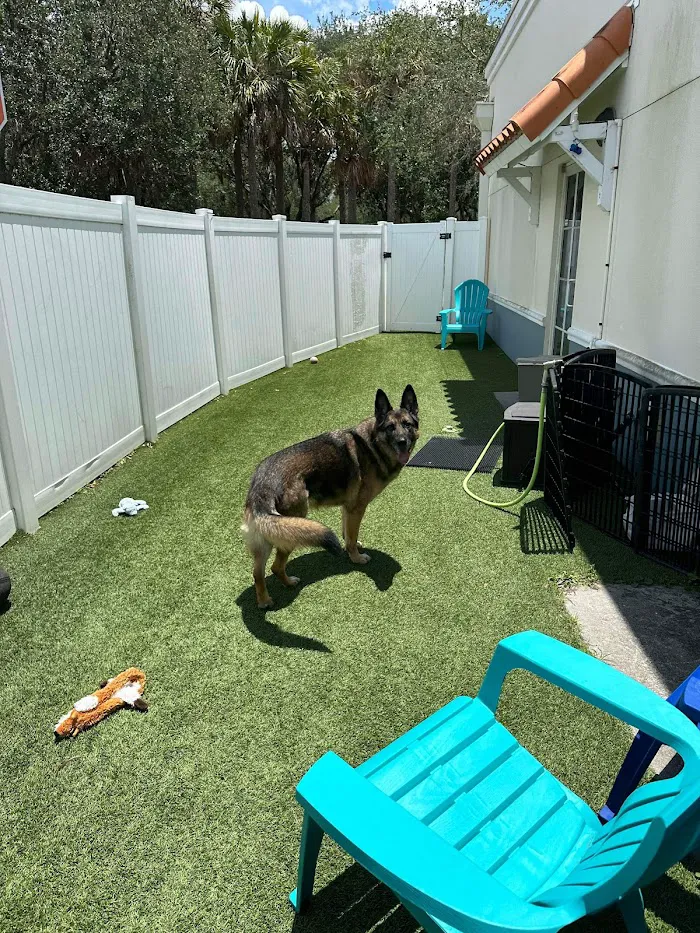 Trinity Oaks Pet Wellness Center 12
