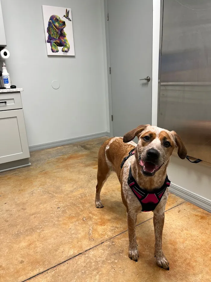 Trinity Oaks Pet Wellness Center 12