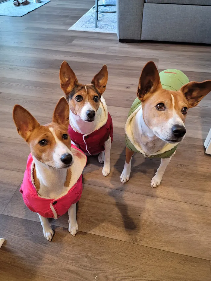 Trinity Oaks Pet Wellness Center 12