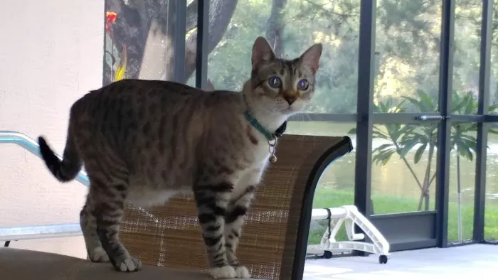 Trinity Pet Hospital 12
