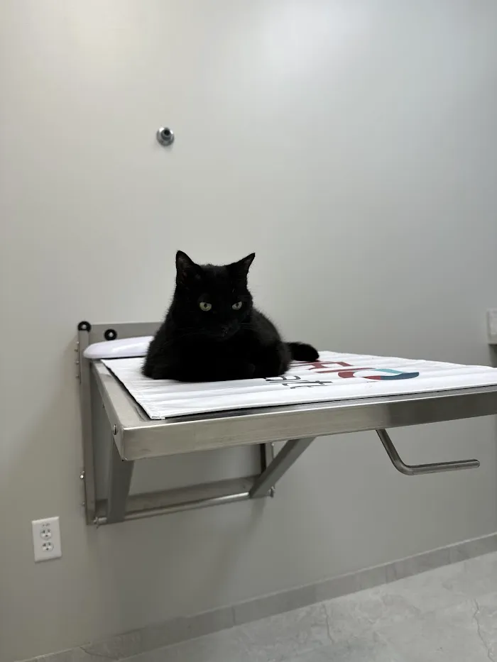 Little Road Veterinary Clinic 6