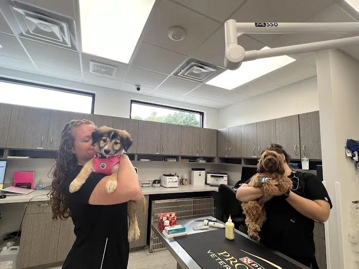 Little Road Veterinary Clinic 2