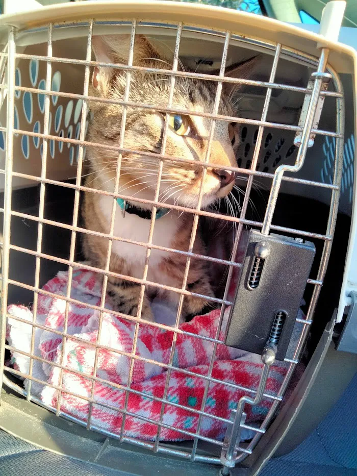 Hays Towne Veterinary Hospital 12