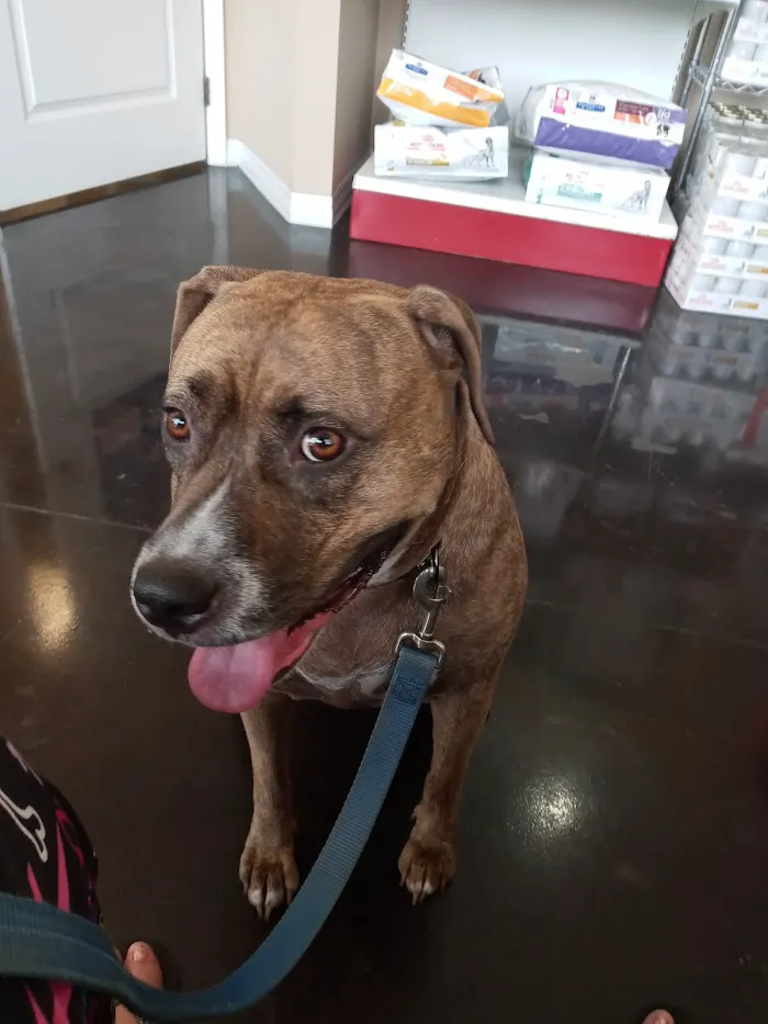 Hays Towne Veterinary Hospital 12