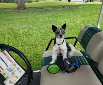 Hays Towne Veterinary Hospital