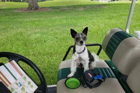 Hays Towne Veterinary Hospital