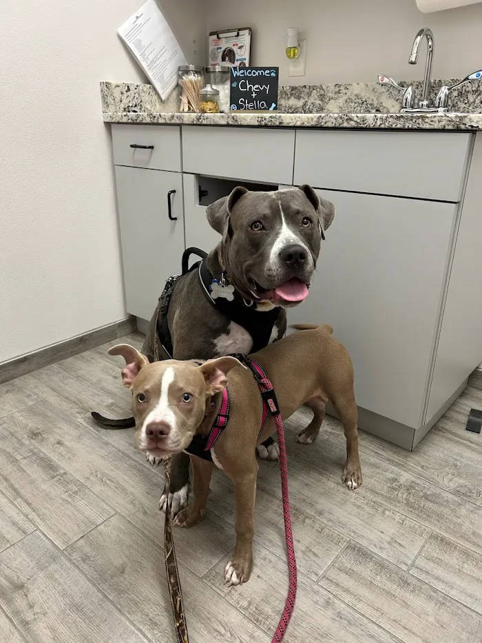 Good Shepherd Pet Hospital 12
