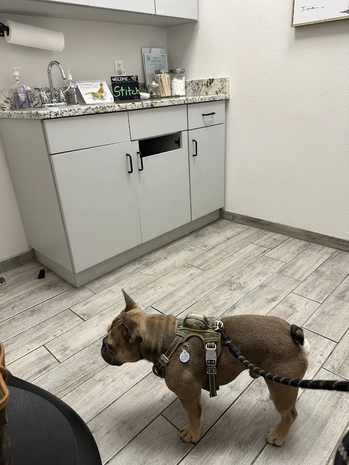 Good Shepherd Pet Hospital 12