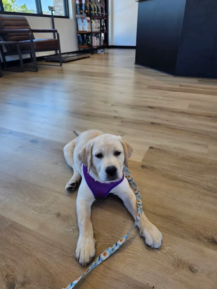 The Range Animal Hospital 12