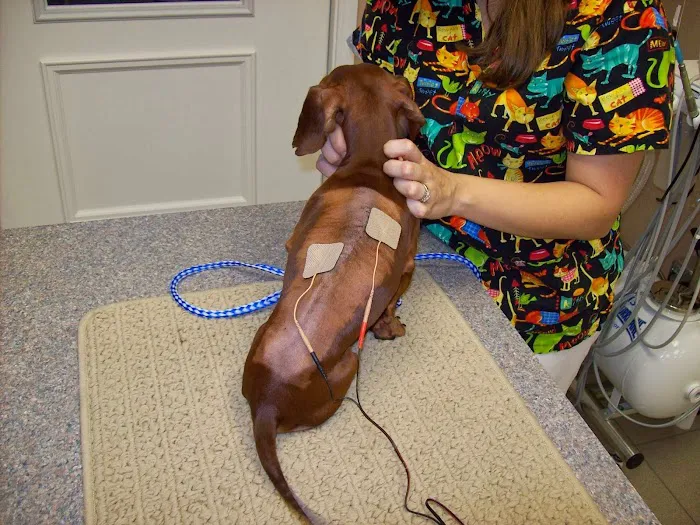 Best Care Animal Hospital 12