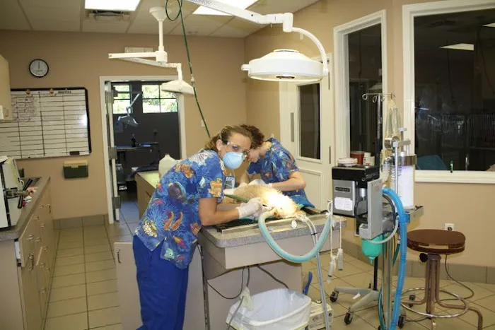 Best Care Animal Hospital 12