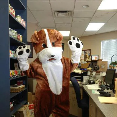 Best Care Animal Hospital 12