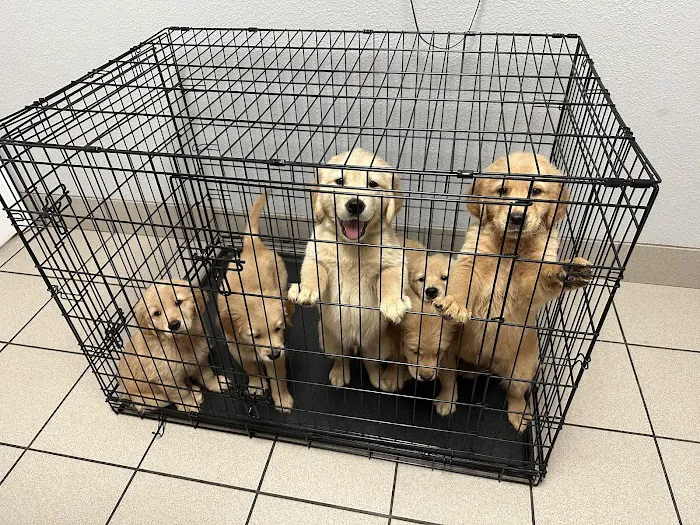 Best Care Animal Hospital 12