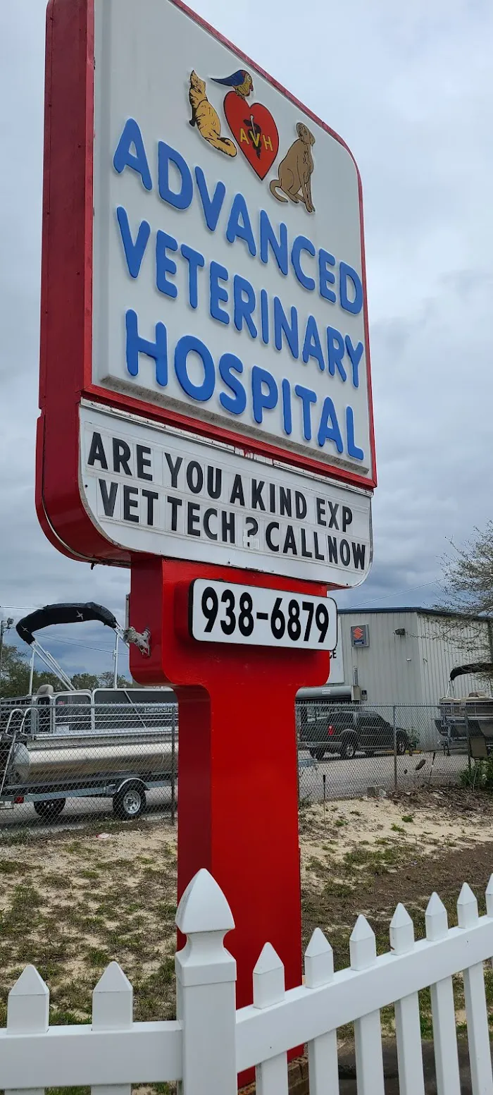 Advanced Veterinary Hospital 12