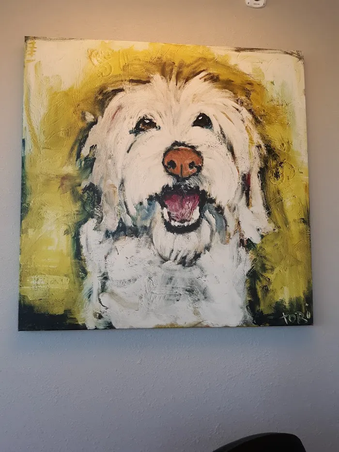 Saint Francis Pet Care Centers Trinity 12