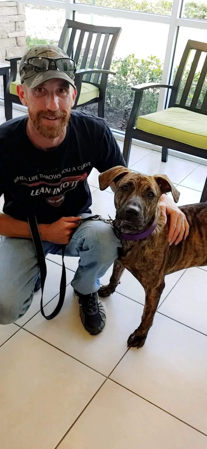 Saint Francis Pet Care Centers Trinity 12