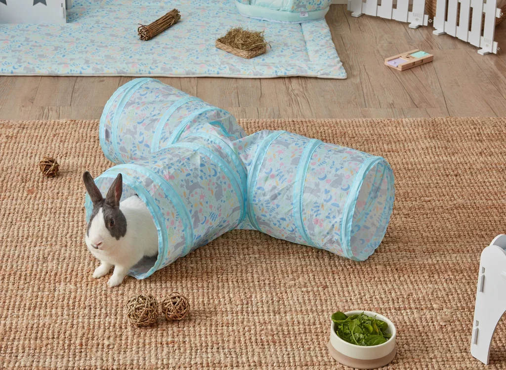 Best Ways to Entertain a Pet Rabbit Indoors
