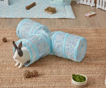 Best Ways to Entertain a Pet Rabbit Indoors