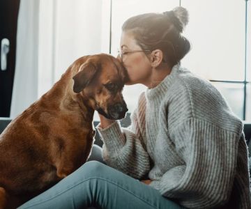 Best Practices for Managing My Pet’s Chronic Condition