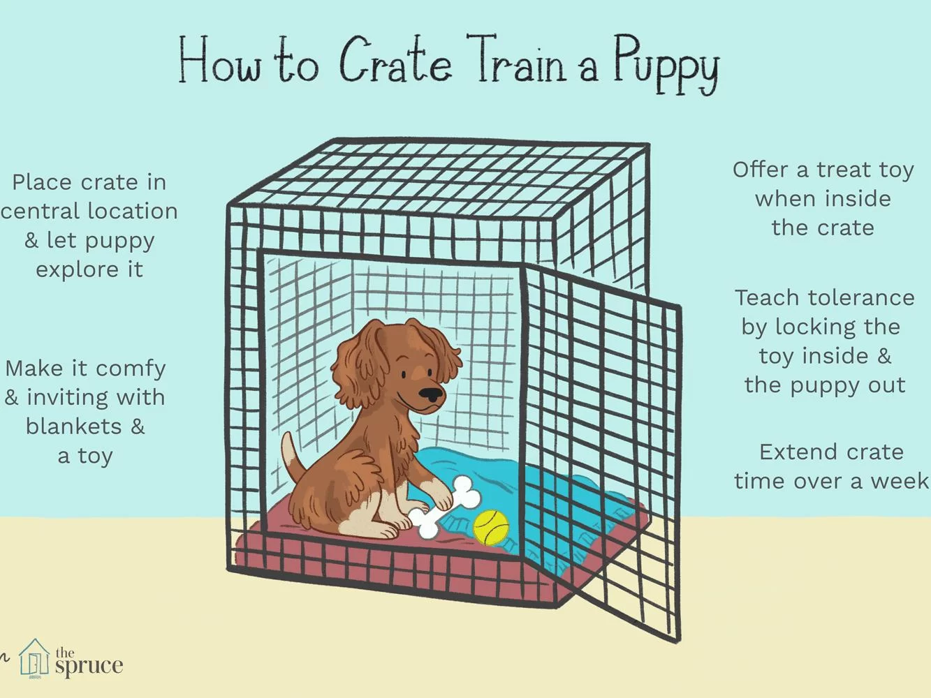 How to Crate Train a Dog
