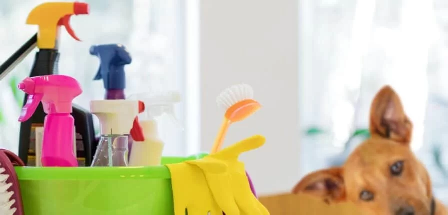 Best Pet-Friendly Cleaning Supplies: Safe Solutions for Your Home