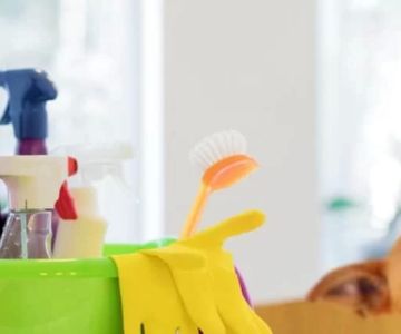 Best Pet-Friendly Cleaning Supplies: Safe Solutions for Your Home