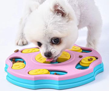 Best Interactive Toys for Large Dogs: Keep Your Big Dog Entertained and Stimulated