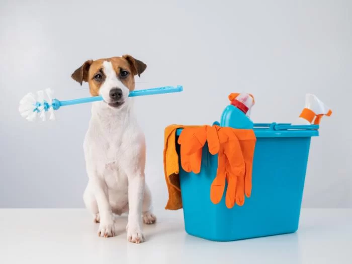 Best Pet-Friendly Cleaning Supplies: Safe and Effective Cleaning for Your Home and Pets