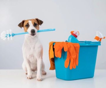 Best Pet-Friendly Cleaning Supplies: Safe and Effective Cleaning for Your Home and Pets