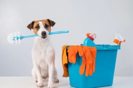 Best Pet-Friendly Cleaning Supplies: Safe and Effective Cleaning for Your Home and Pets