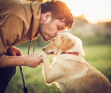 Best Training Methods for Dogs: Effective Approaches to Train Your Dog