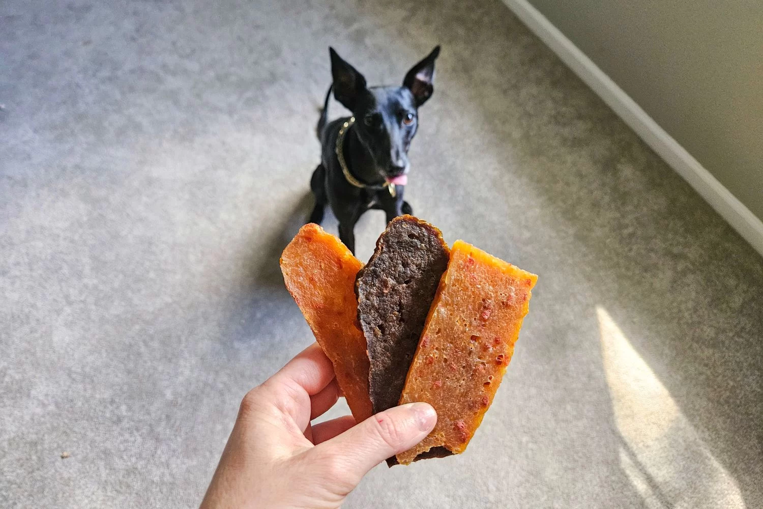Best Training Treats for Puppies: Top Picks to Support Effective Training