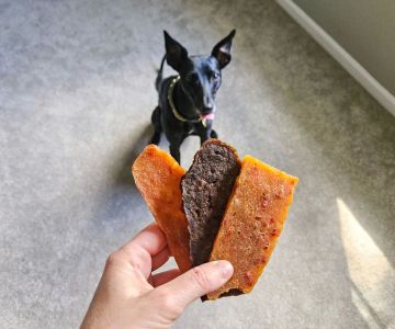 Best Training Treats for Puppies: Top Picks to Support Effective Training