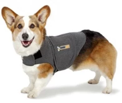 Best Calming Pet Products for Dogs: Top Solutions for Anxiety Relief