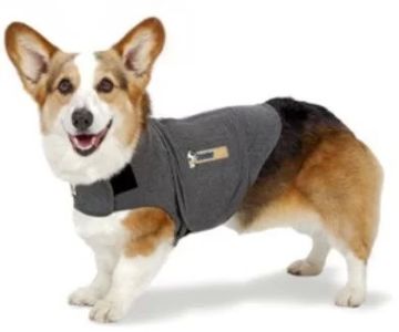 Best Calming Pet Products for Dogs: Top Solutions for Anxiety Relief