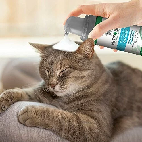 Best Flea Sprays for Indoor Cats: Safe and Effective Flea Treatments