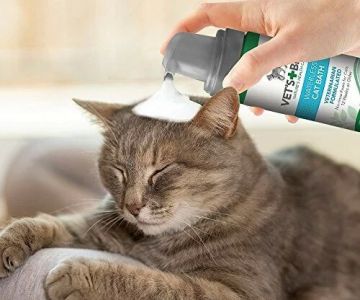 Best Flea Sprays for Indoor Cats: Safe and Effective Flea Treatments