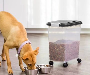 Pet Food Storage Containers for Freshness: How to Keep Your Pet's Food Fresh Longer