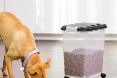 Pet Food Storage Containers for Freshness: How to Keep Your Pet's Food Fresh Longer