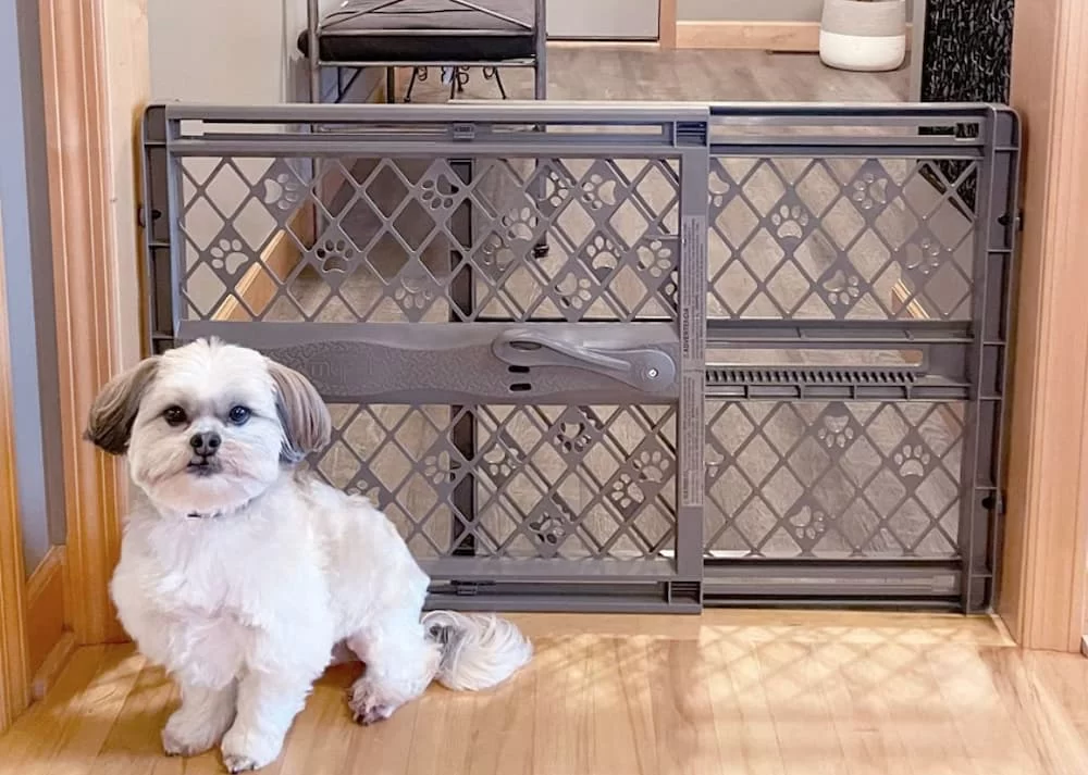 Best Dog Gates for Small Dogs: Top Picks for Safety and Comfort