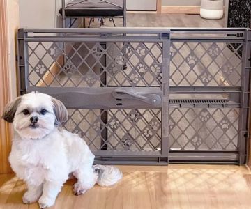 Best Dog Gates for Small Dogs: Top Picks for Safety and Comfort