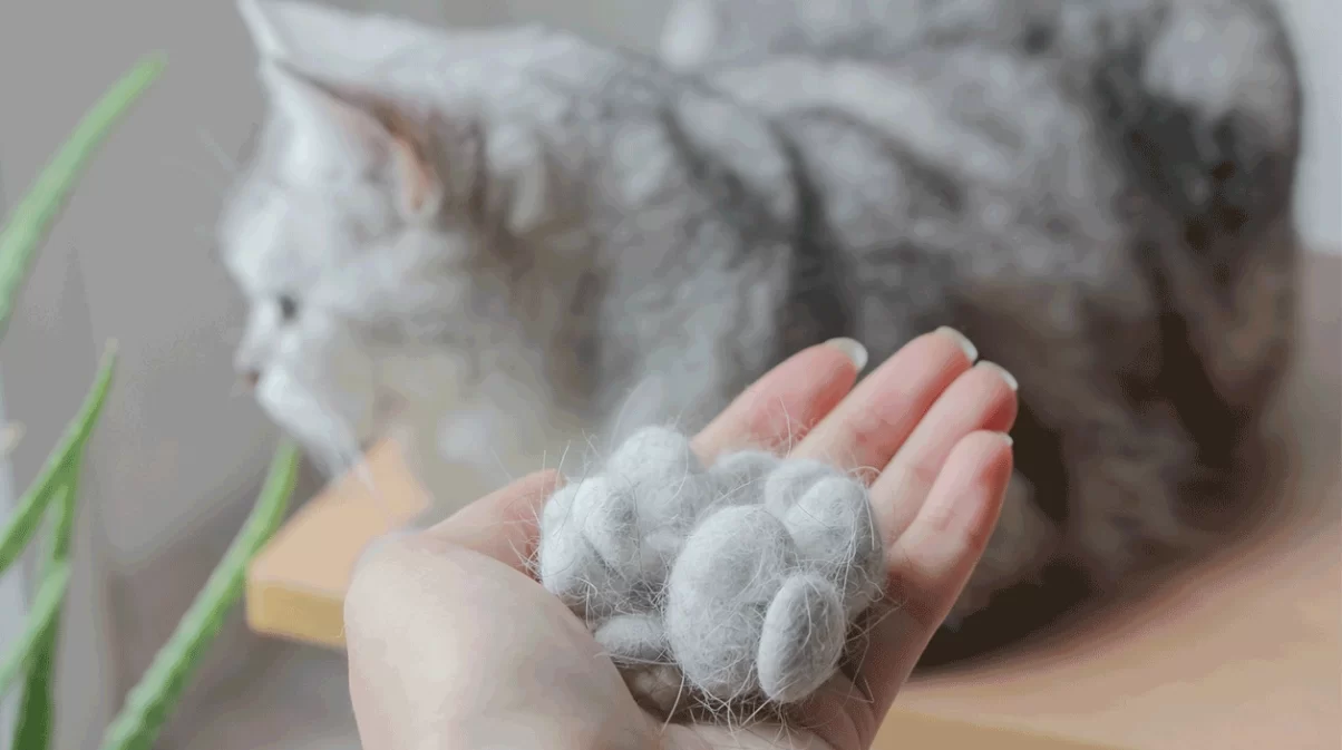 What to Do When Your Cat’s Fur is Shedding Excessively: Effective Tips for Managing Shedding