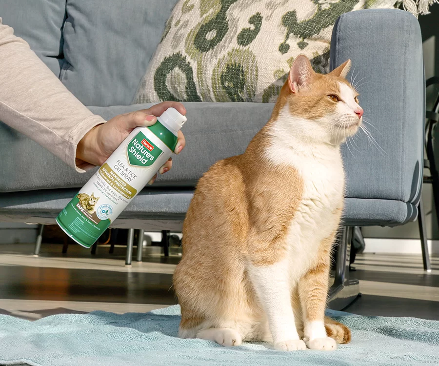 What is the Best Flea and Tick Prevention for Cats? Top Products and Tips