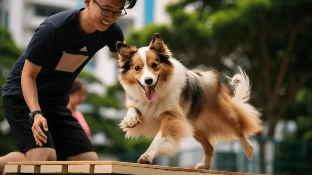 Affordable Dog Training and Obedience Classes: Training Your Dog Without Breaking the Bank