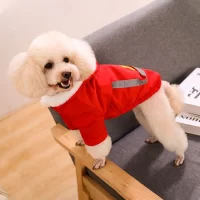 Stylish Dog Clothes for Colder Weather: Fashionable and Warm Outfits for Your Pet